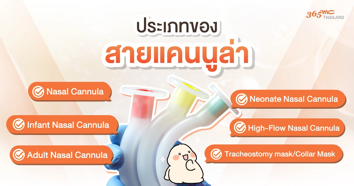 สายแคนนูล่า ประเภท