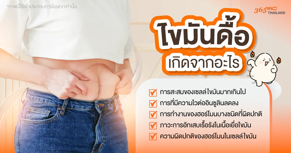 ไขมันดื้อ เกิดจากอะไร