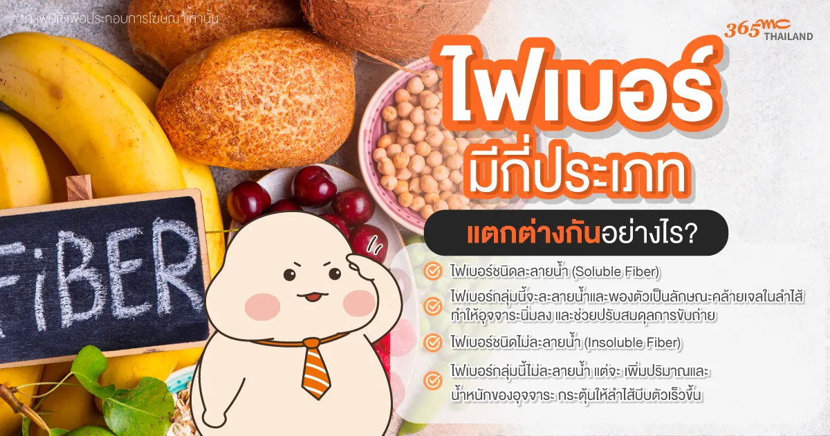 ไฟเบอร์ มีกี่ประเภท