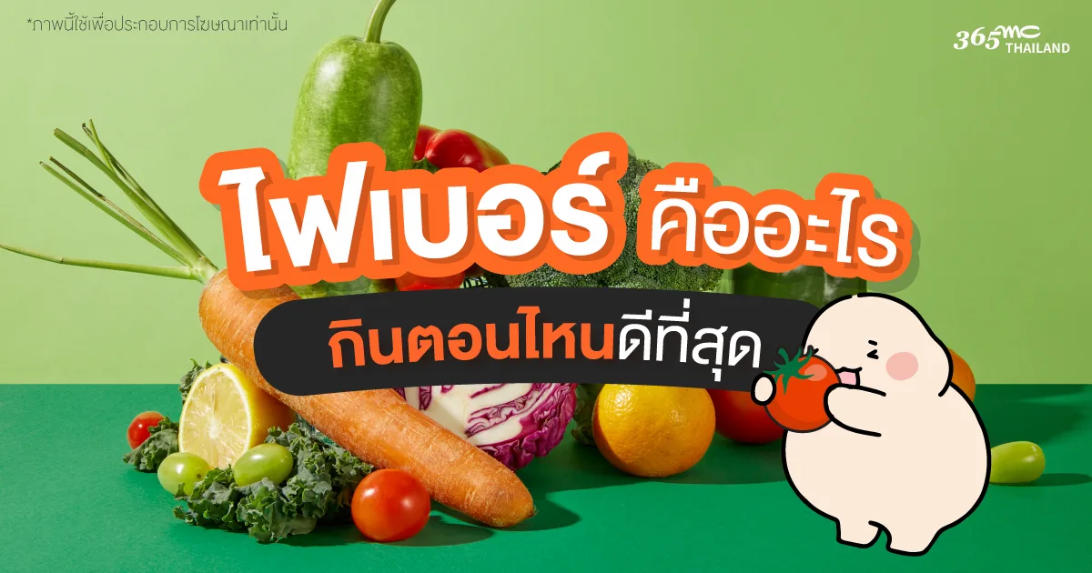 ไฟเบอร์ คืออะไร